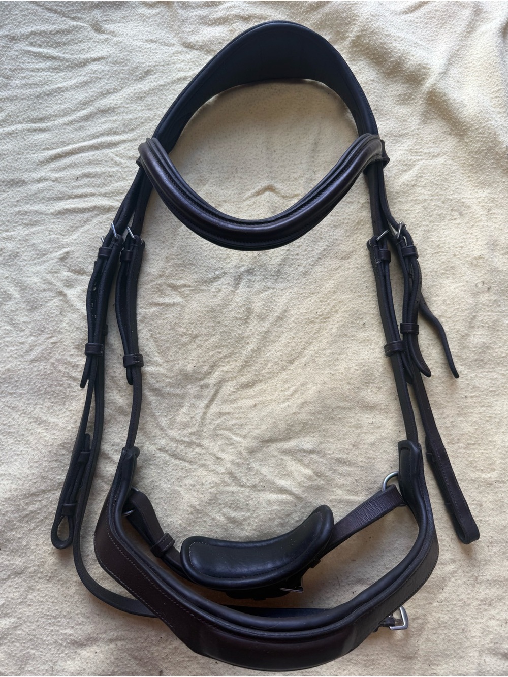 Red Barn Arena Ergonomic bridle
